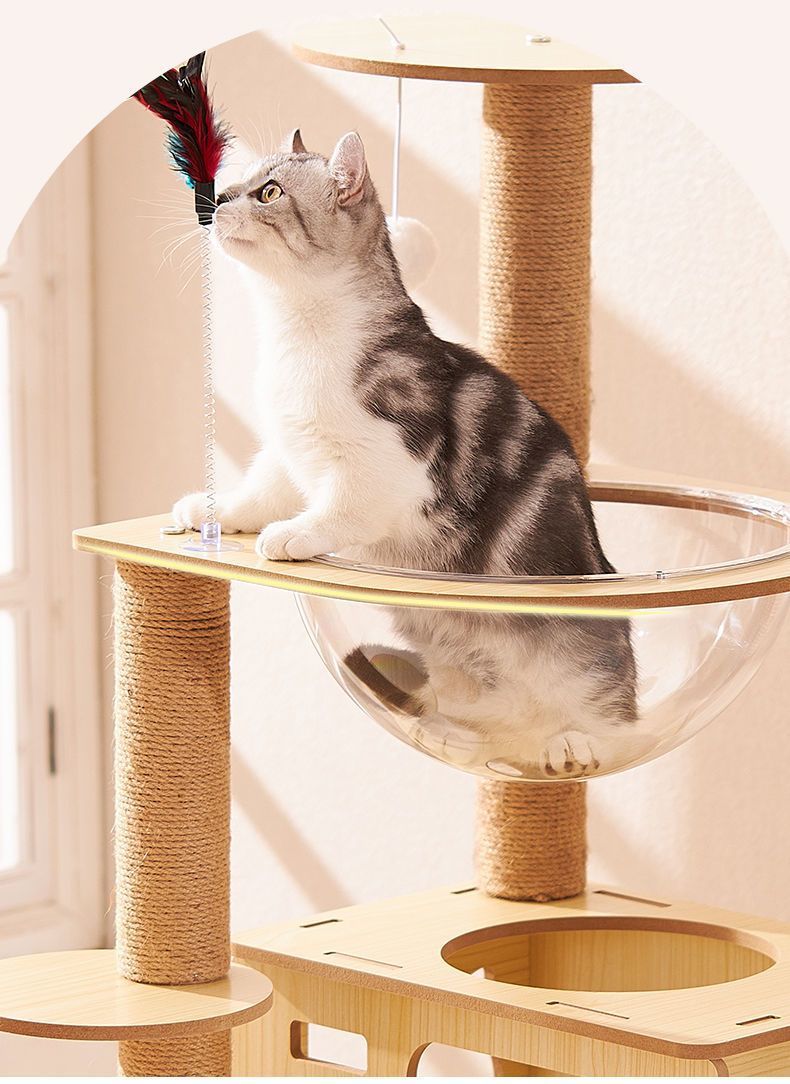 059c0f18-f73f-48c0-b628-bc5becff8a08.jpe