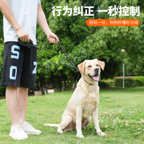 Dog Leash p Chain Explosion Proof Walking Leash Labrador Dog Chain p Rope Large Dog Walking Harness Pet Supplies