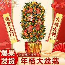 ��ۘ����Ԏ����͏d�Gֲ�҃ȴ���ֲ��������Ә��绨����۽ۘ�