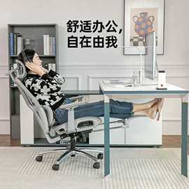 办公椅;电竞椅;休闲椅/凳