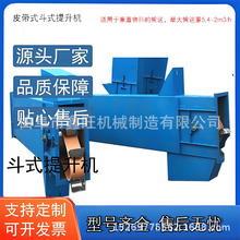 TD160型单斗转斗式提升机 钢斗提升送料机  矿用垂直输送机
