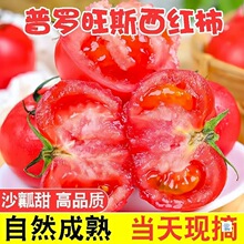�������_��˹���t�����r�Fժ�����߲���Ȼ��ɳȿ��������ˮ��