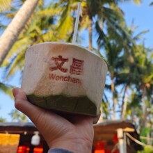 椰青9个装海南椰青去皮新鲜椰子海南文昌现摘好果整箱代发免邮