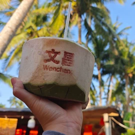 椰子/椰青;植物油;含乳饮料