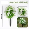 Eucalyptus white violet ground nails