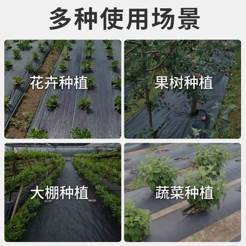 Бесплатная доставка Сельскохозяйственный сад покрывает траву