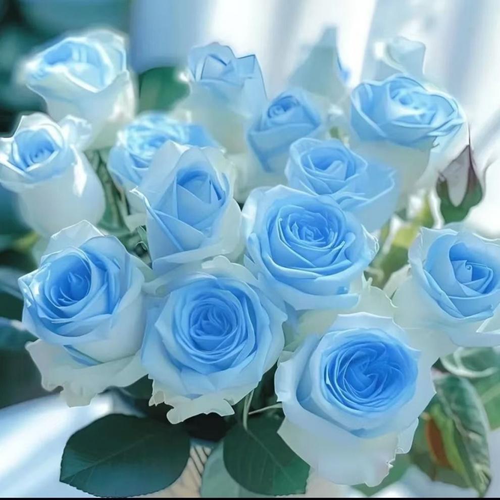 2b8fb734-f317-4e7a-8a8a-f96765a8e28c.jpe