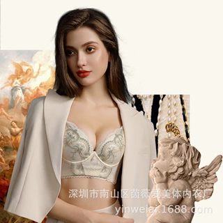 高端品牌同款调整型云感棉中薄杯上托文胸软钢圈聚拢收副乳女内衣