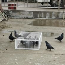 �¿����ӻ\�Ӽ���С�̈́����Ԅ�ײ�\���M�o�������������I���ӻ\