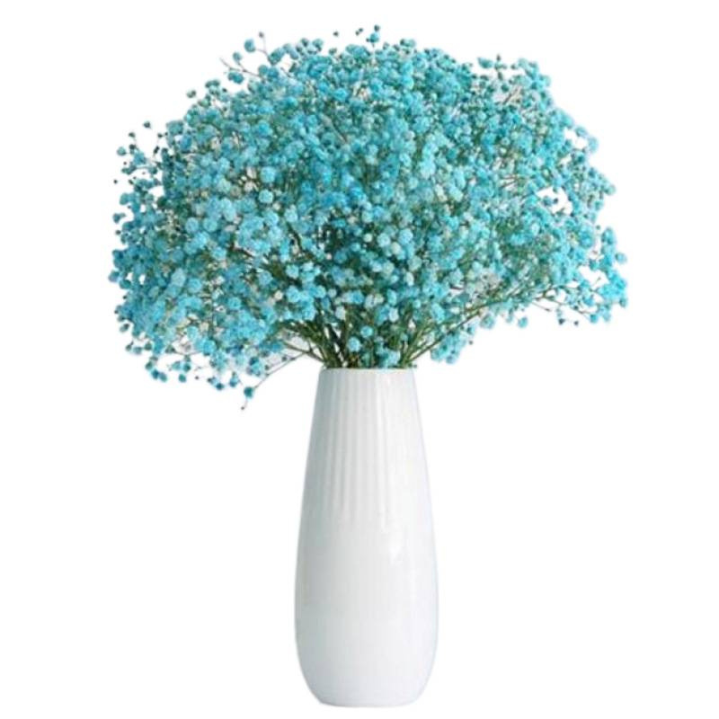 Yunnan lleno de flores secas, no olvides mi decoración de la casa, flores frescas, flores verdaderas, flores secas y verdaderas