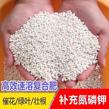 施可丰15-15-15复合肥通用型复合肥蔬菜果树大田补肥追肥全水溶