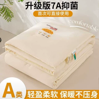 a类大豆纤维冬被棉被春秋被子宿舍单人学生四季通用加厚保暖被芯3