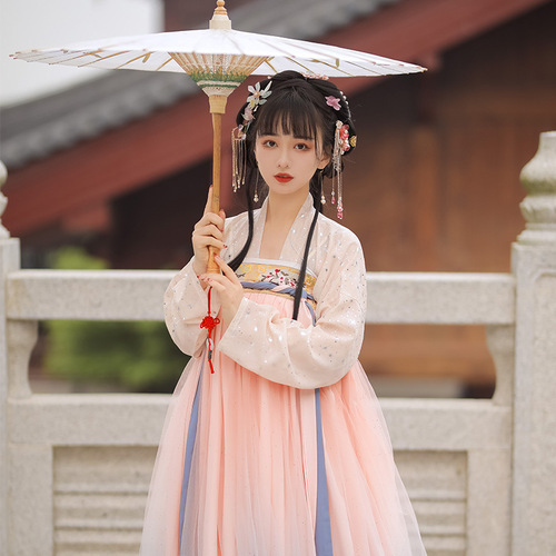 Fairy hanfu Tang dynasty princess dress for Women female authentic original suit qiu jin system chest Ru skirt China ancient fairy