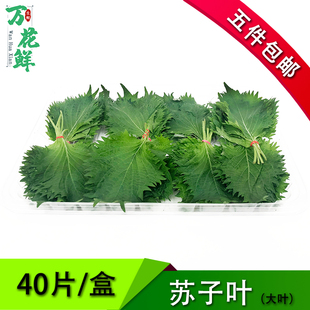 ���r���~���K�~�K���~�����~һ��ʳ�û��Ƶ�����͔[�˱P�b�