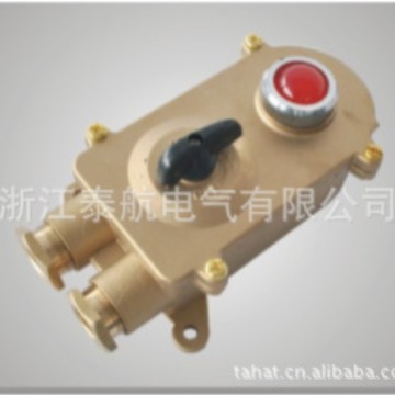 供应船用铜质带指示灯开关HSD2-2