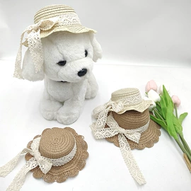 宠物帽子;成人帽;表演/节庆帽