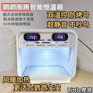 �W�^�r�B�����䌙�������Lů�^�����B�a�ر�ů�����r���PС̫�