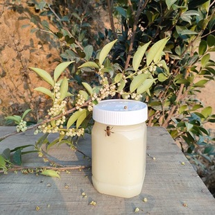 500gҰ�𻨷��۶����� ���۽Y��