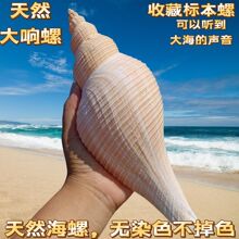 ������L���ݽ�����Ȼؐ�������~�׾Ӽҙ����[�����ǽ��ݴ�̖