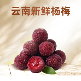 26�����r��÷�r�������������ЋD�ɳ����÷̿÷ݩ�j��ϗ�÷