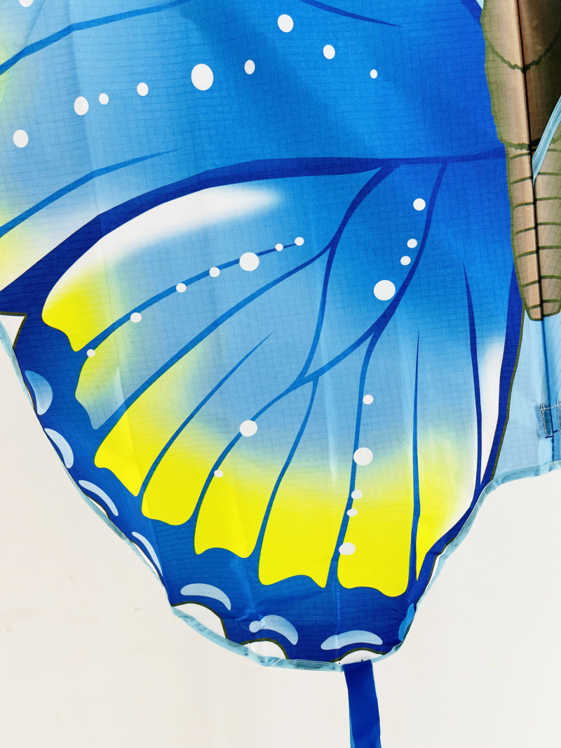 TD蝴蝶 宽145高98尾巴160厘米 (5).jpg