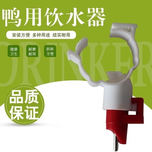Automatic Waterer for Chickens Steel Ball Type Steel Ball Valve Automatic Waterer for Chickens Nipple Cassette Type for Chicken Raising Equipment
