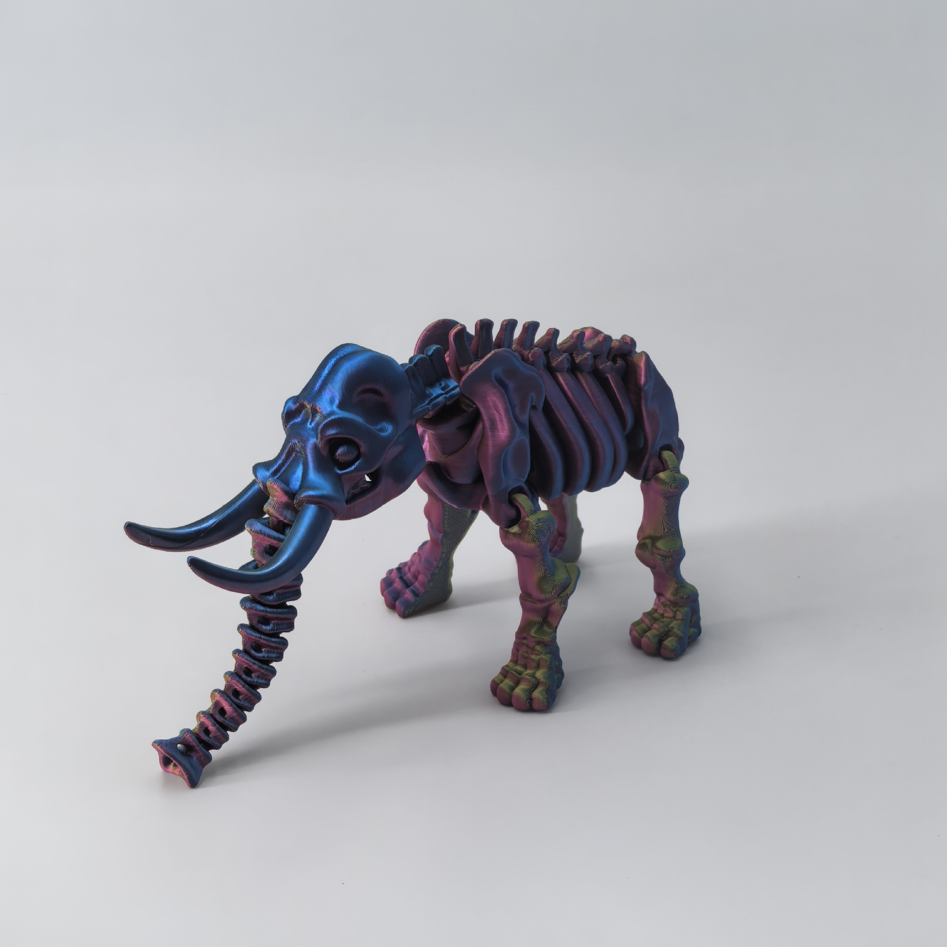 코끼리 - 레드 골드 블루