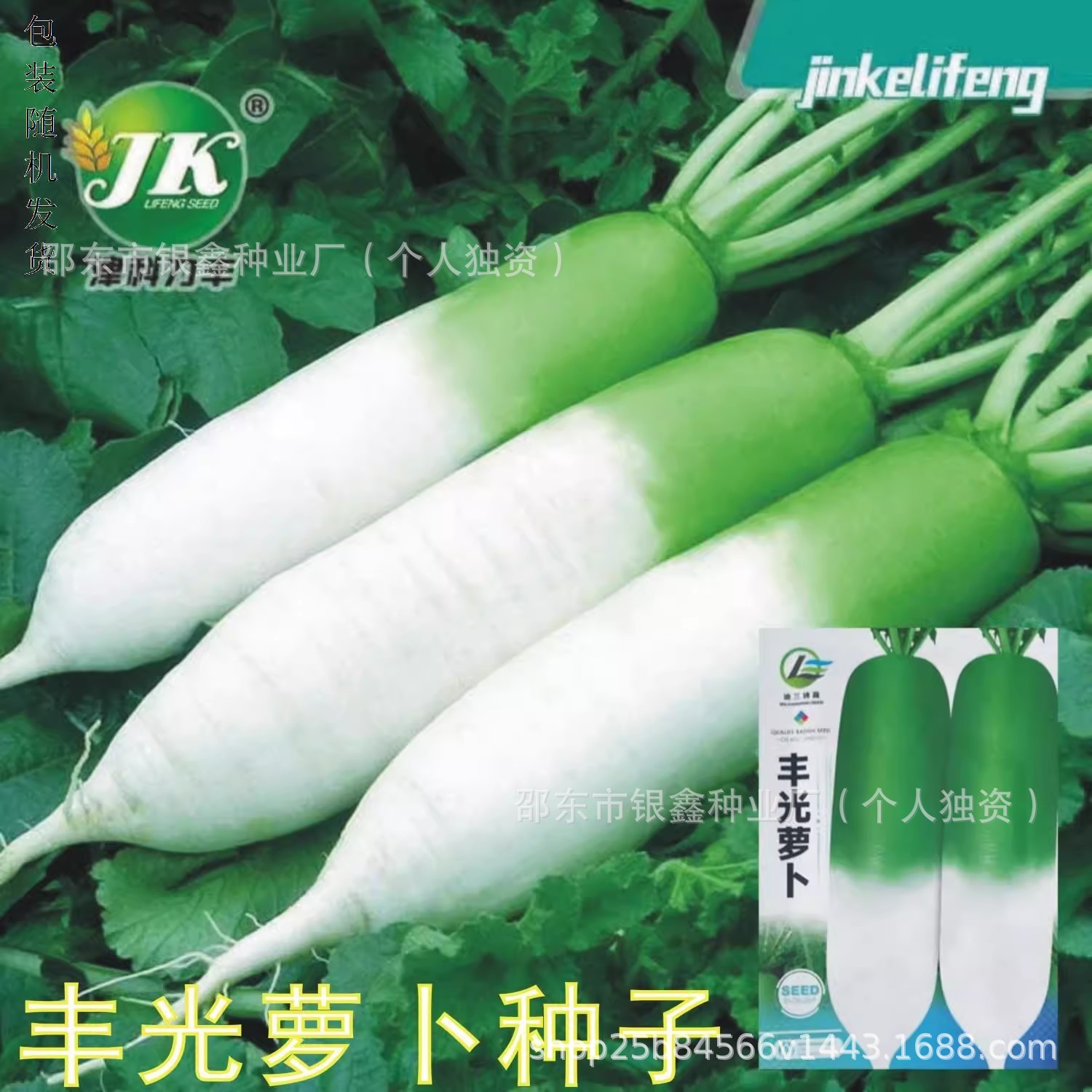 正宗丰光萝卜种子大青萝卜种子生吃脆甜爽口秋季播蔬菜种子新鲜籽