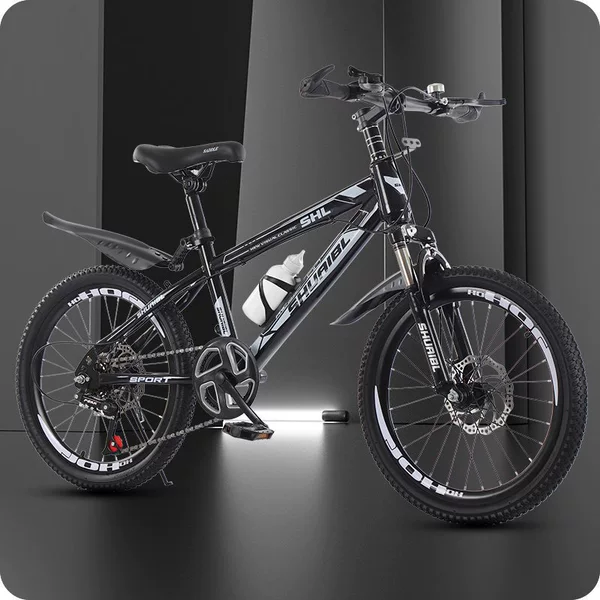 Shock-absorbing bike shifter (brake handle) disc brake, deluxe edition