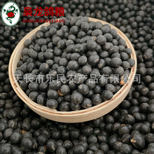枭龙鸽粮 烘焙熟黑黄豆50斤  赛鸽信鸽补充蛋白能量江浙沪皖包邮