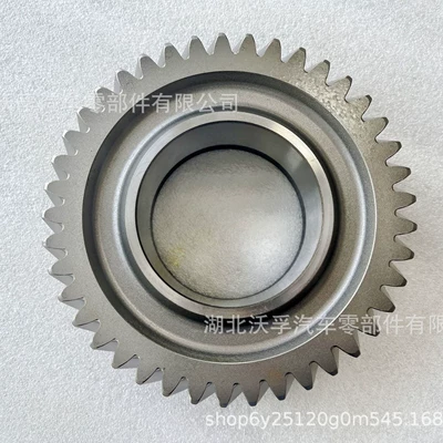 (41t) 22219261 20532217 – Transmission gear and shaft