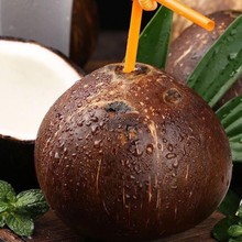 【9个装】海南牛奶黑椰皇 新鲜当季水果老椰子椰皇椰宝椰奶冻包邮