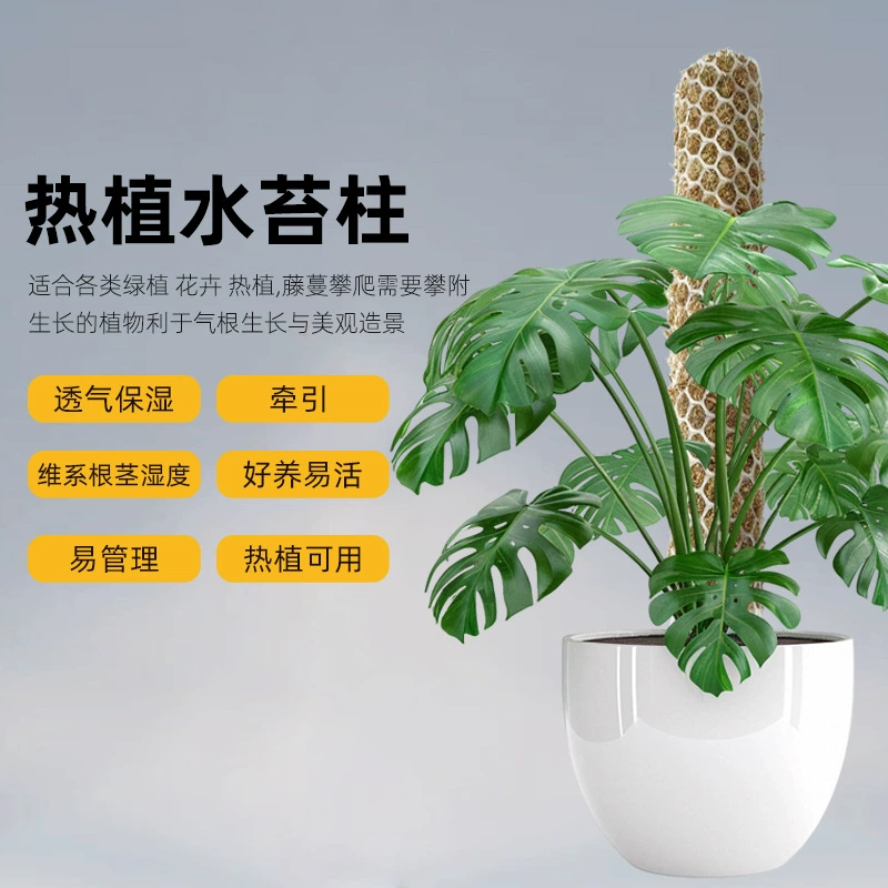 Опора для растений монстера, подпорка для вьющихся растений, колонна из сфагнового мха для самополива, в наличии для зеленых растений