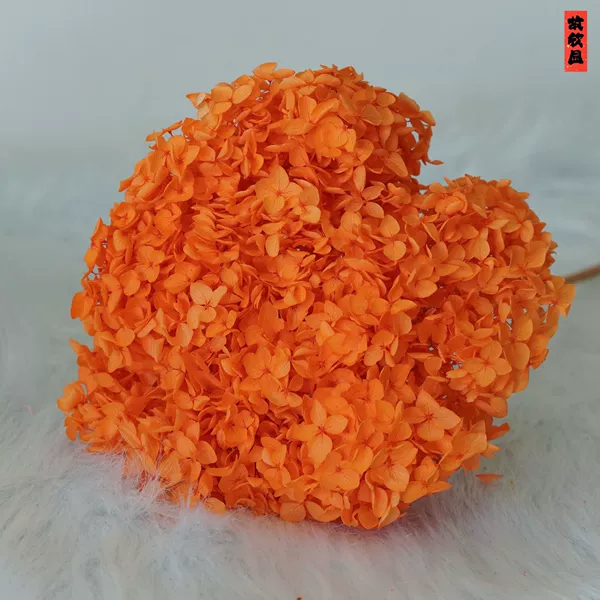 Orange/support