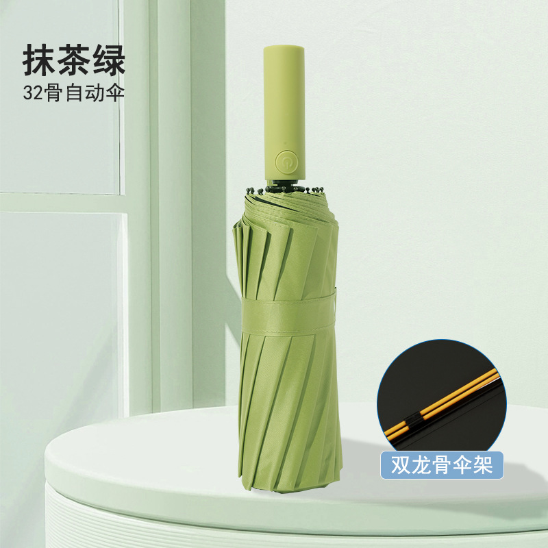 16K 전자동 비닐 우산 [32 용골] 말차 그린