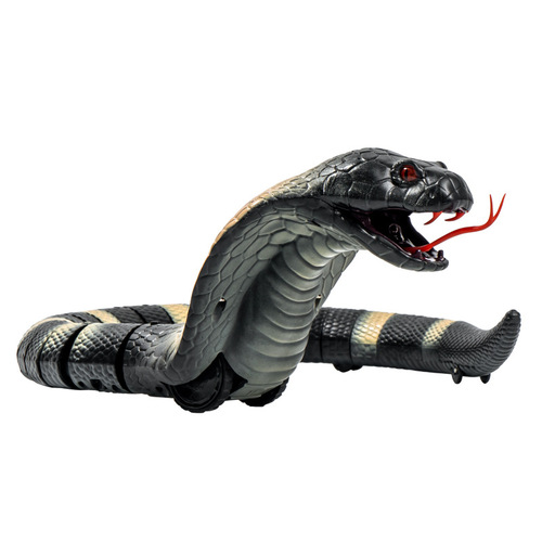 The same type of trick toy snake simulated centipede electric remote control decompression spoof trick spider plastic fake snake