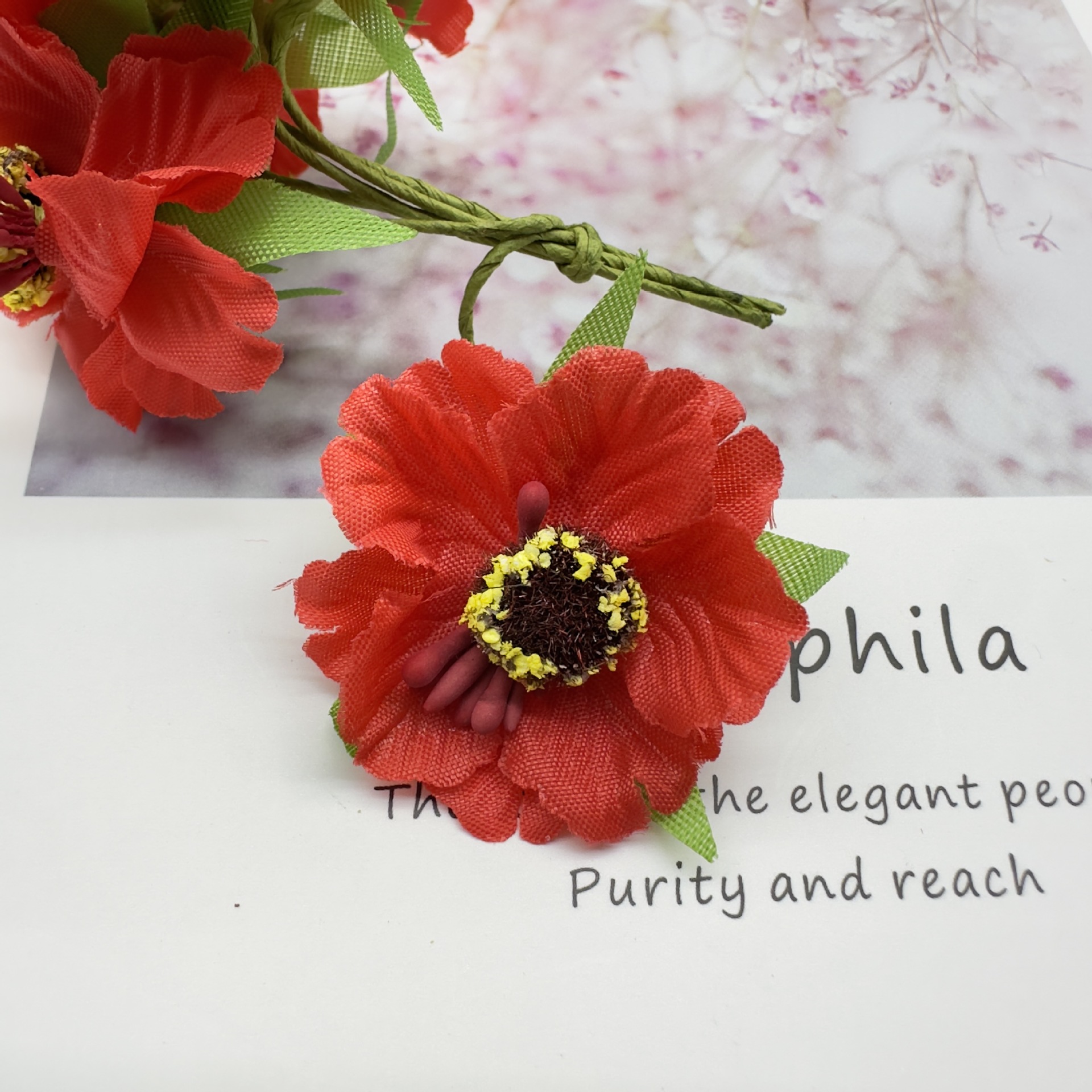 빅 레드(팩당 60송이)