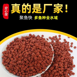 鱼饵