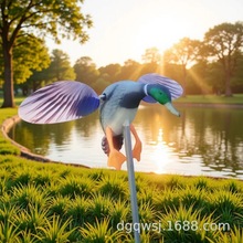 �羳����늄ӷ��������L���T����Wind teal���⾰�^���D��CӖ��