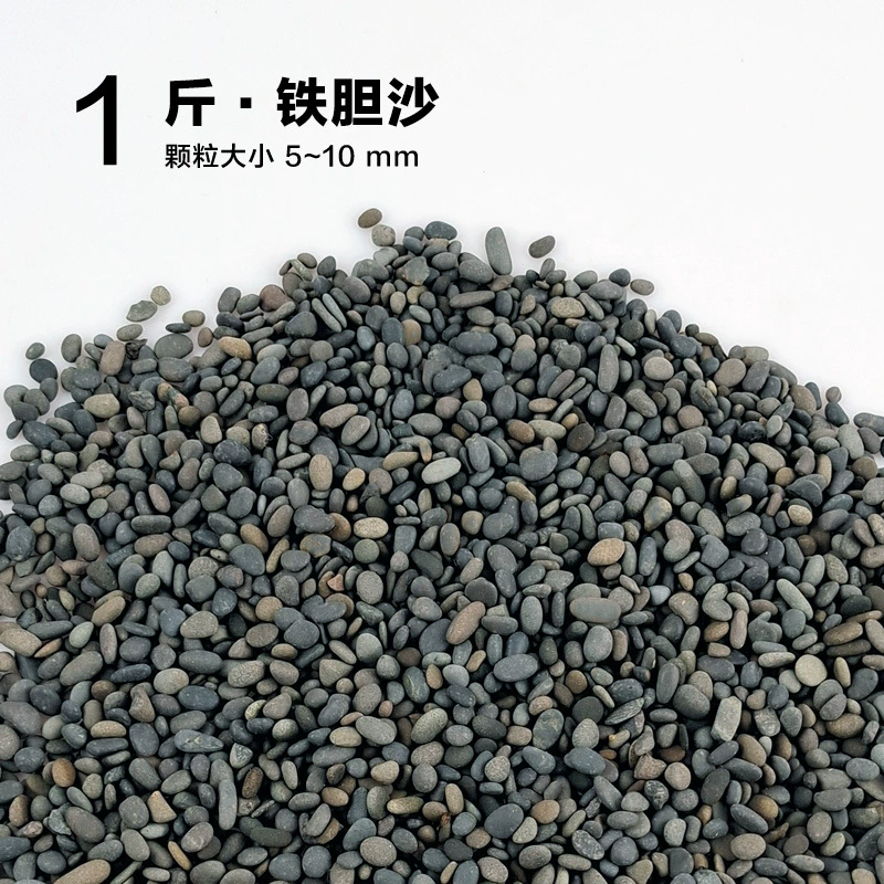 楸肩几搴曠爞閫犳櫙搴曟矙涔岄緹娌虫矙鍖栧