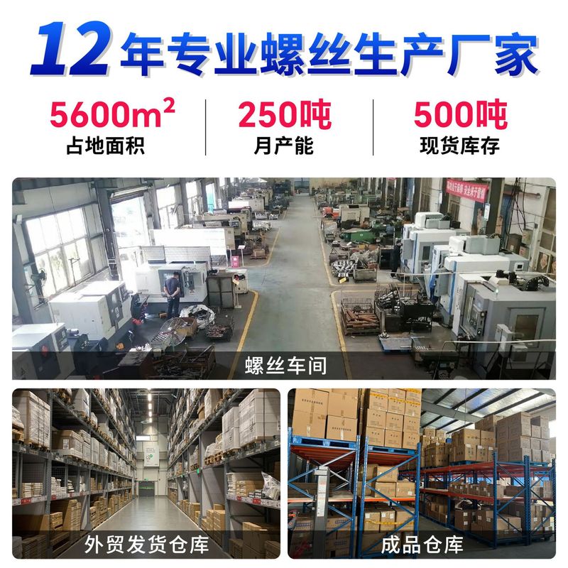 304ステンレス鋼製両頭ネジ、十字型会計用留め具、合板用リベット、平頭M2M3M4、在庫あり|undefined
