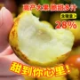 南方北方种植特大枣树