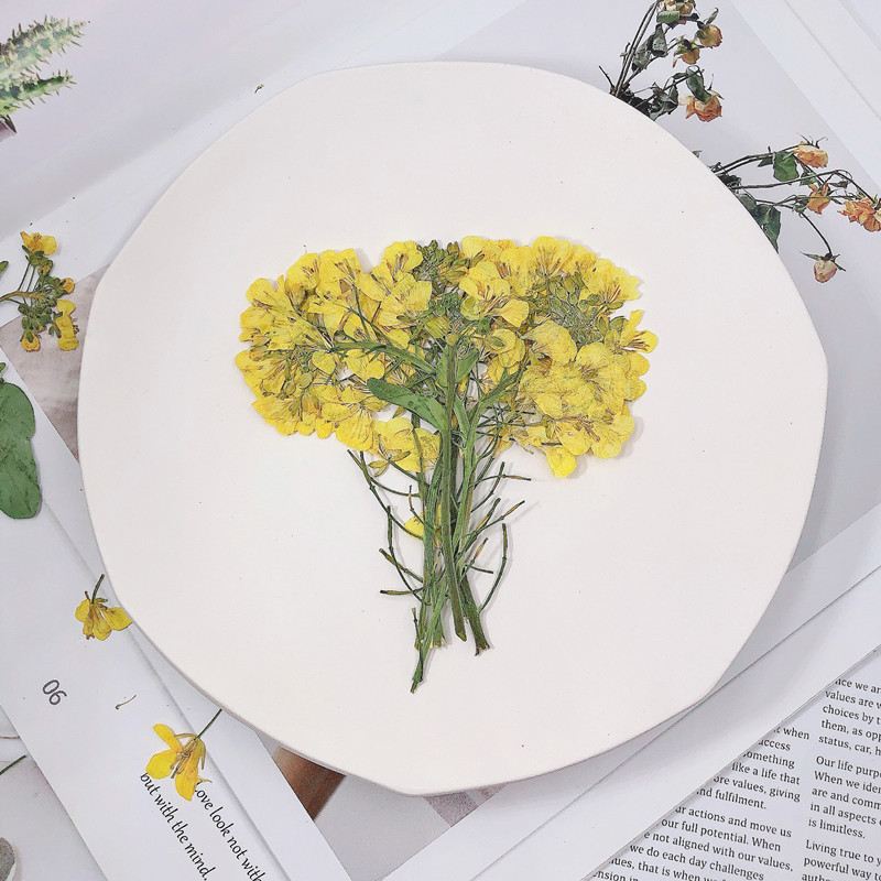 微信图片_20210821220135_副本