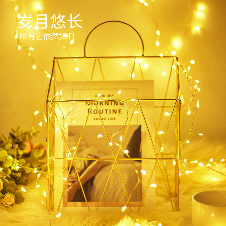 Corea del Sur venta caliente LED alambre de cobre petardos lámparas enchufables lámparas de color creativas cientipago navideño lámparas de decoración festivales
