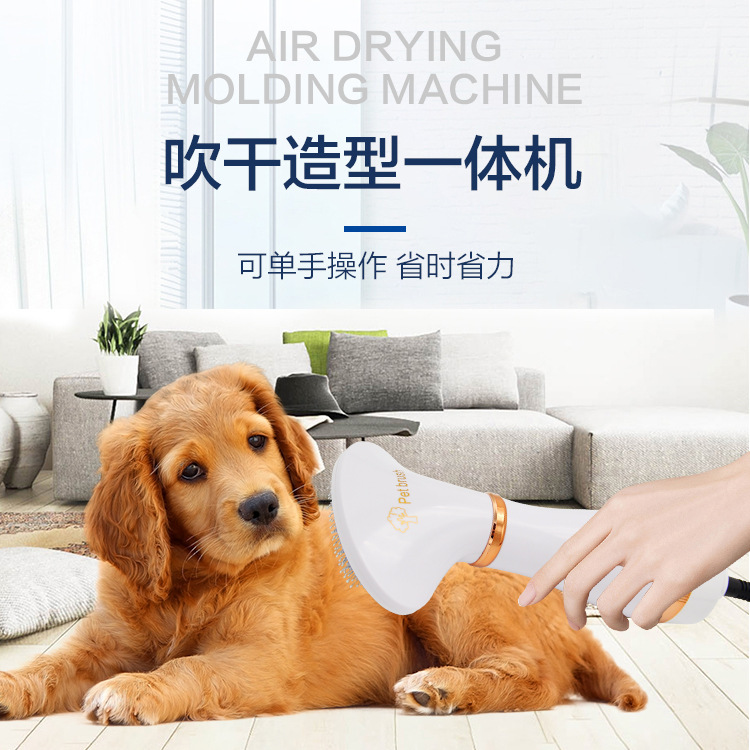 廠家直銷亞馬遜寵物吹風梳 貓狗用品二合壹熱風梳 吹幹拉毛壹體梳