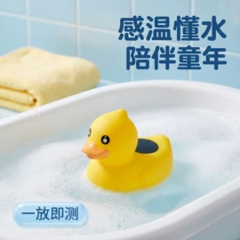 鞋辅件;鞋扣;包挂件