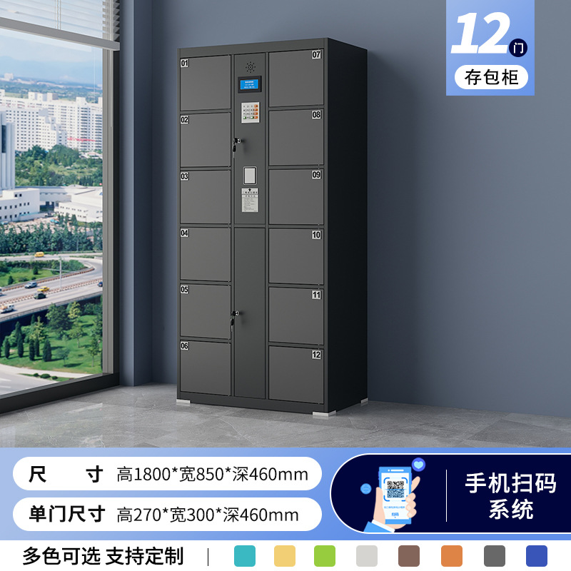 12-door scanning system