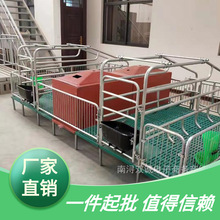 母猪产床保育床一体复合两用养殖设备热镀分娩床定限位栏养猪场用