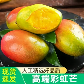 其他水果;块茎类;梨