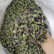 First-hand supply Blue butterfly wholesale new dish bean flower agricultural products bulk 500g new flower tea Blue Butterfly flower